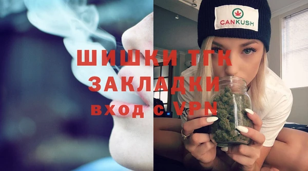 прущие грибы Карпинск