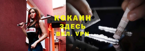 прущие грибы Карпинск