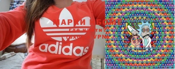прущие грибы Карпинск