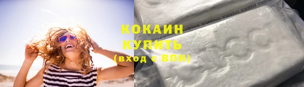прущие грибы Карпинск