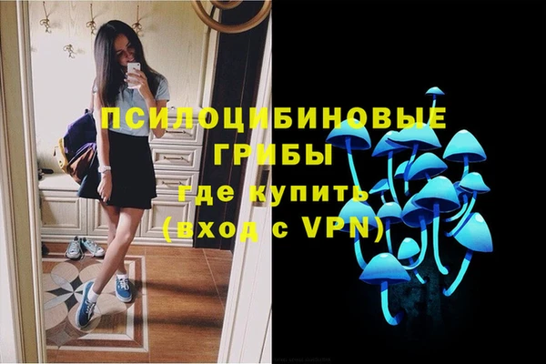 кокаин премиум Каменск-Шахтинский